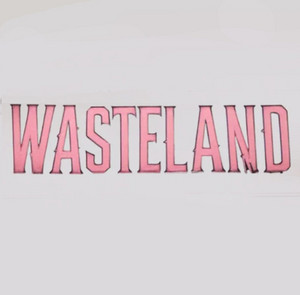 Wasteland Music Inc logo